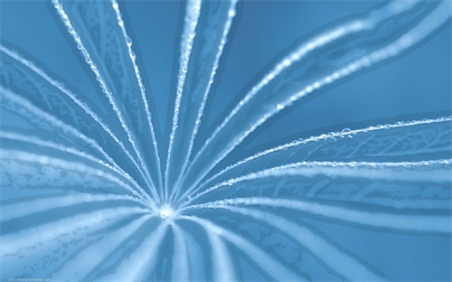 海关票条码,目前主要在美国和加拿大使用upc码
